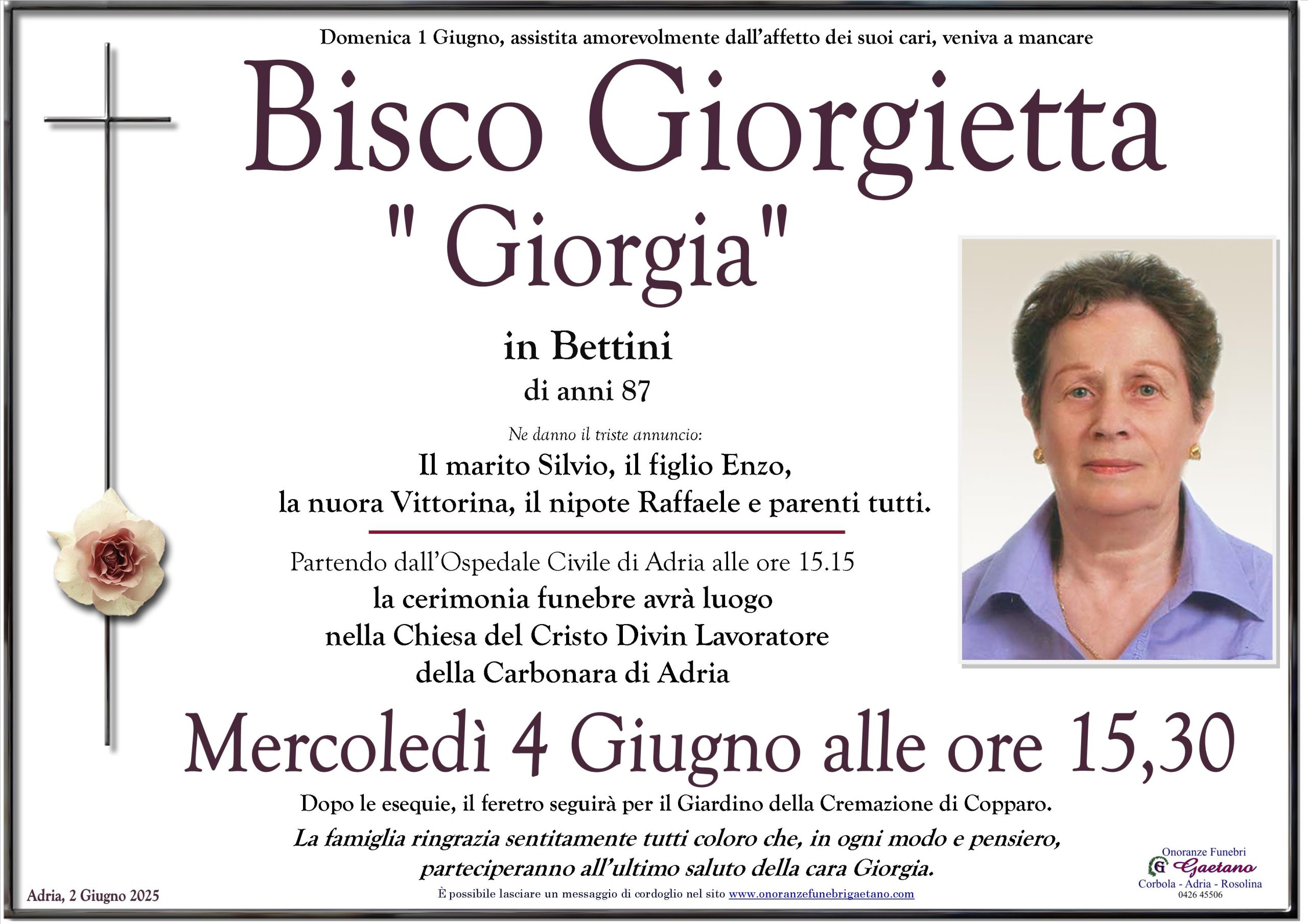 Bisco Giorgietta ” Giorgia”